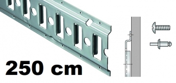 Anker-Kombi-Zurrschiene 2,5m , 20er-Bohrung, Stahl 